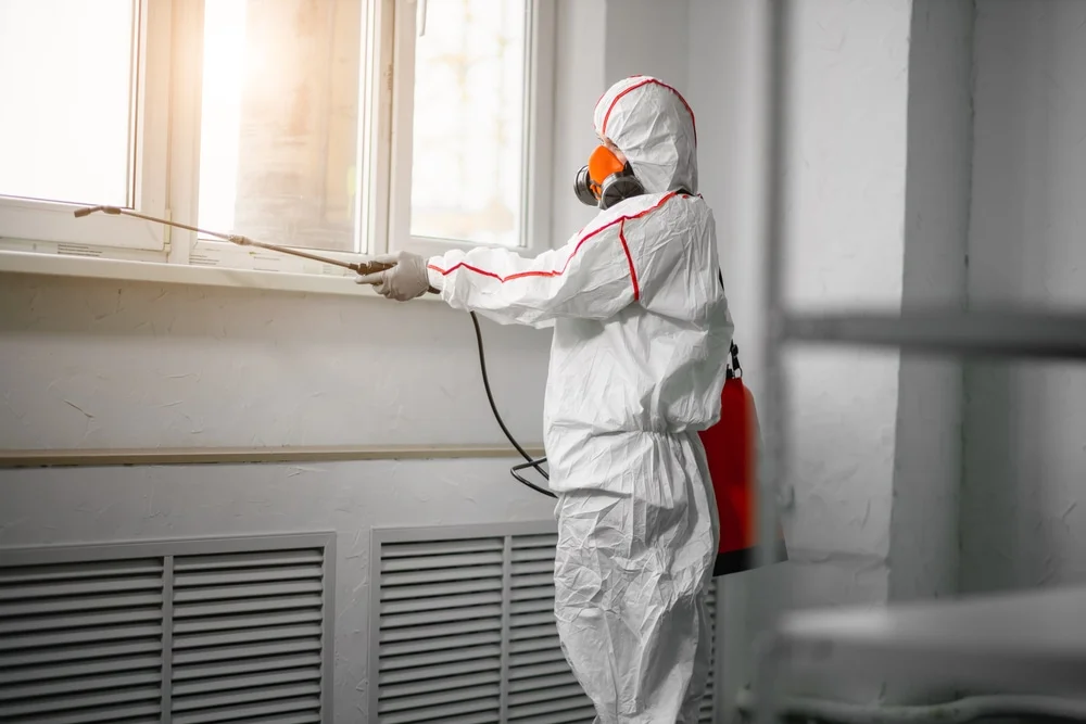 Professional mold remediation services in Waleska, GA